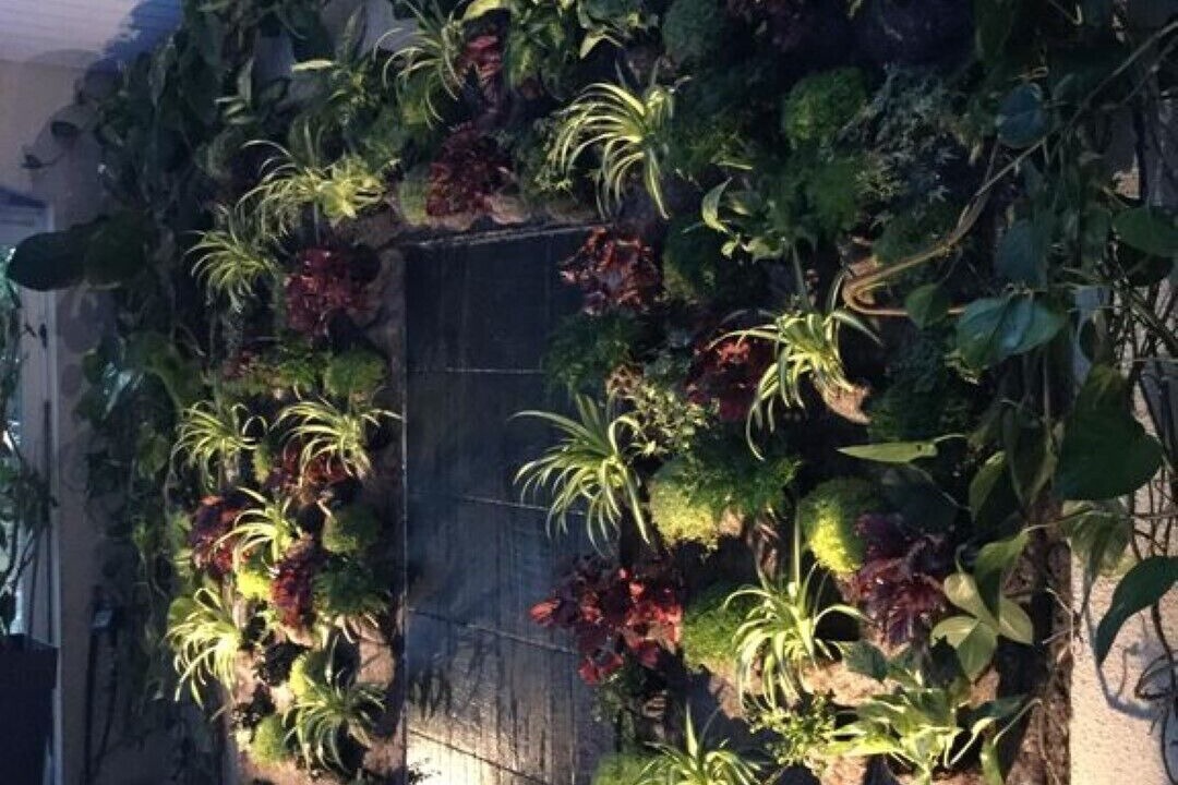 Photo of Outdoor in Saint-Vivien-de-Medoc