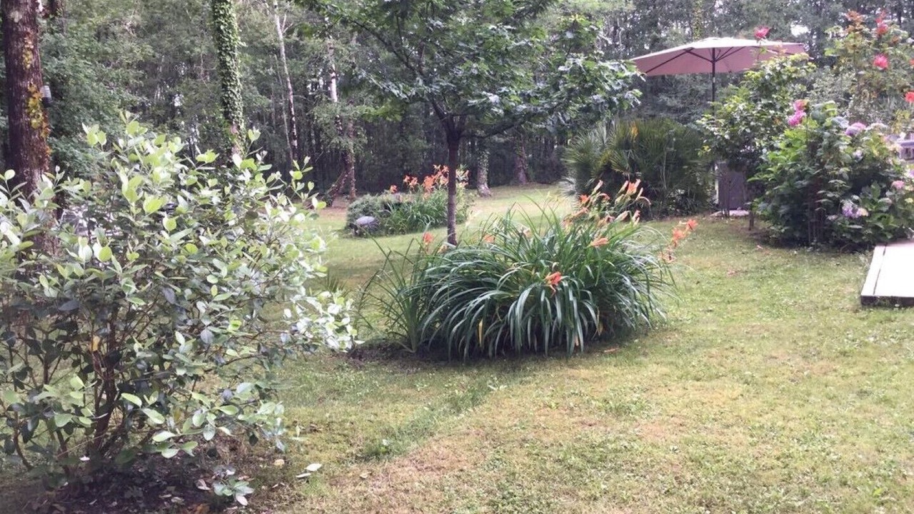 Photo of Outdoor in Saint-Vivien-de-Medoc