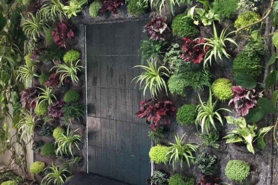 Photo of Outdoor in Saint-Vivien-de-Medoc