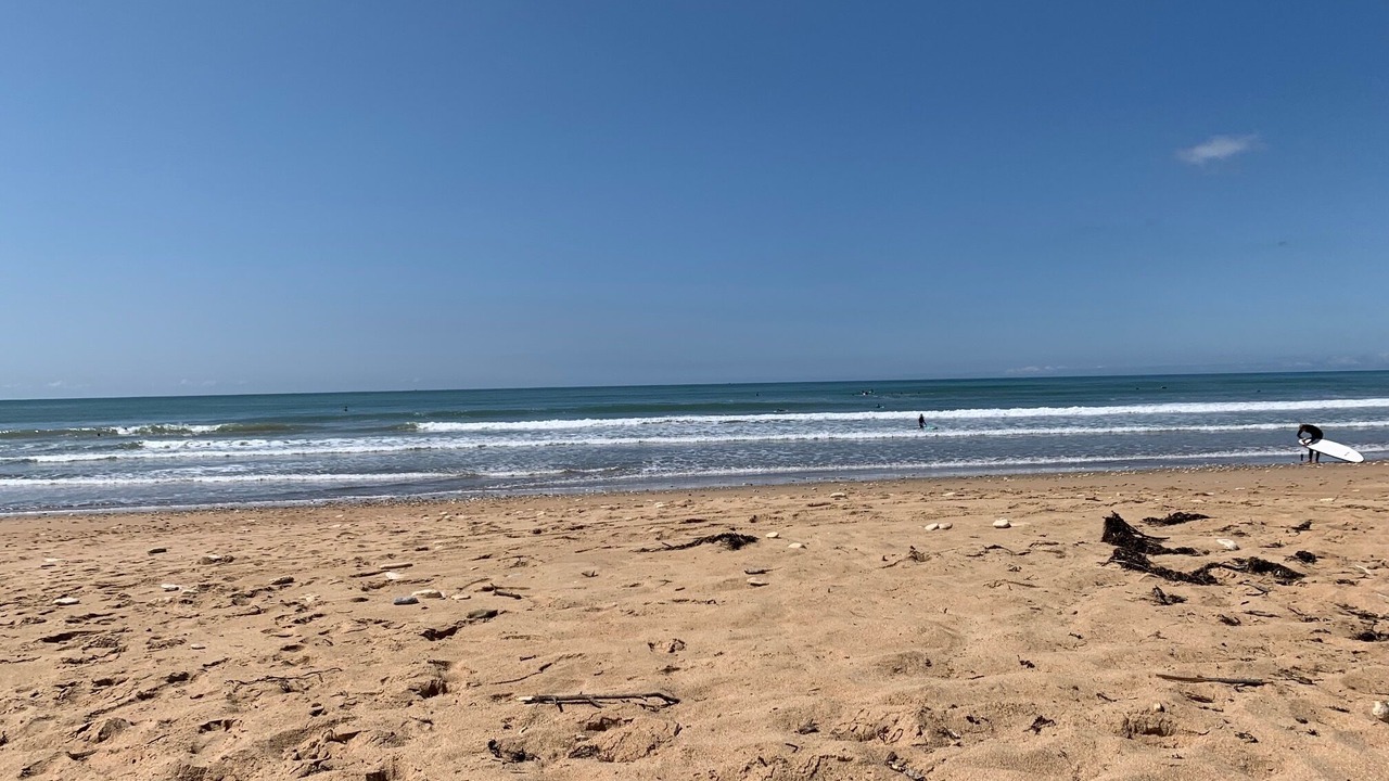 Photo of Others in Dolus-d'Oleron