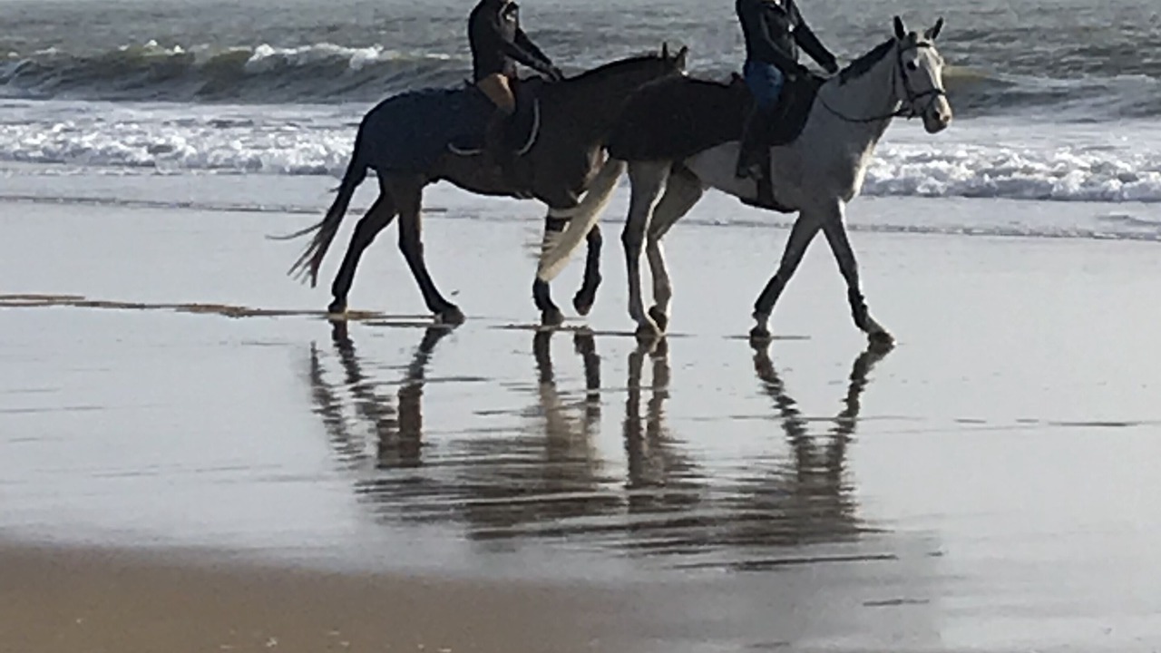 Photo of Others in Saint-Palais-sur-Mer