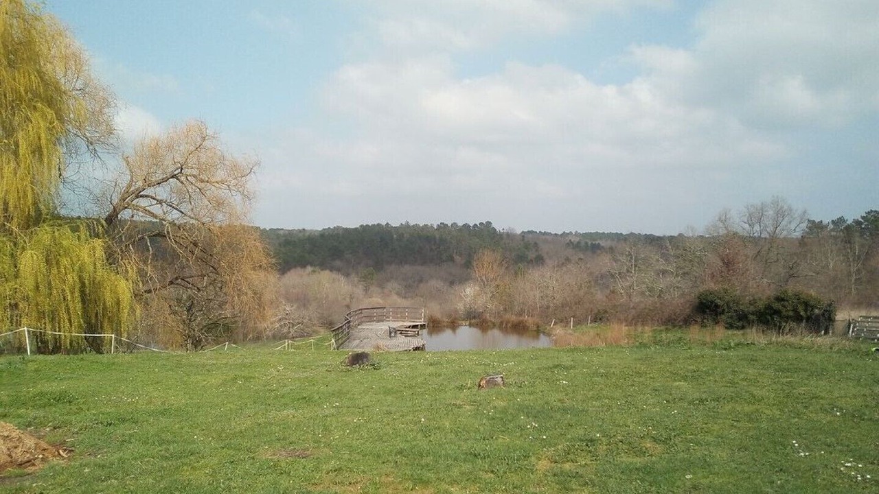 Photo of Outdoor in Montpon-Menesterol