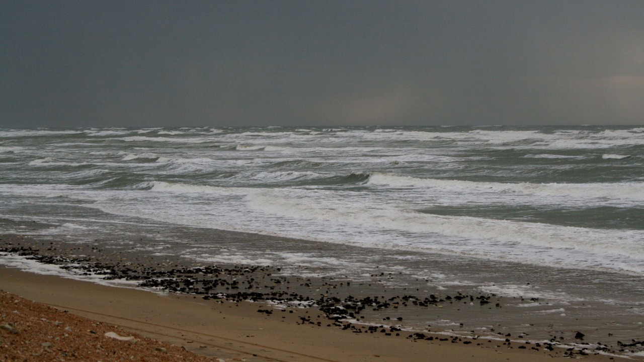 Photo of Others in Cheray