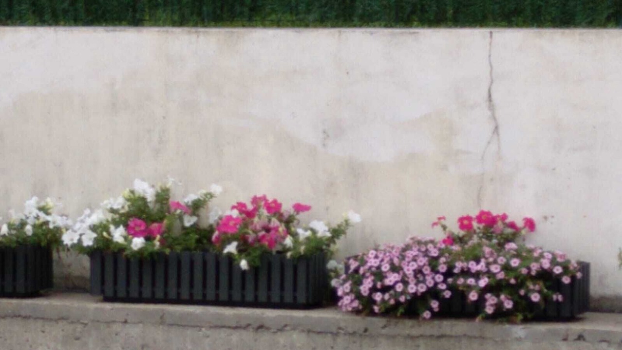 Photo of Outdoor in Hendaye