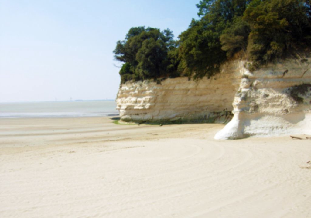 Photo of Others in Mortagne-sur-Gironde