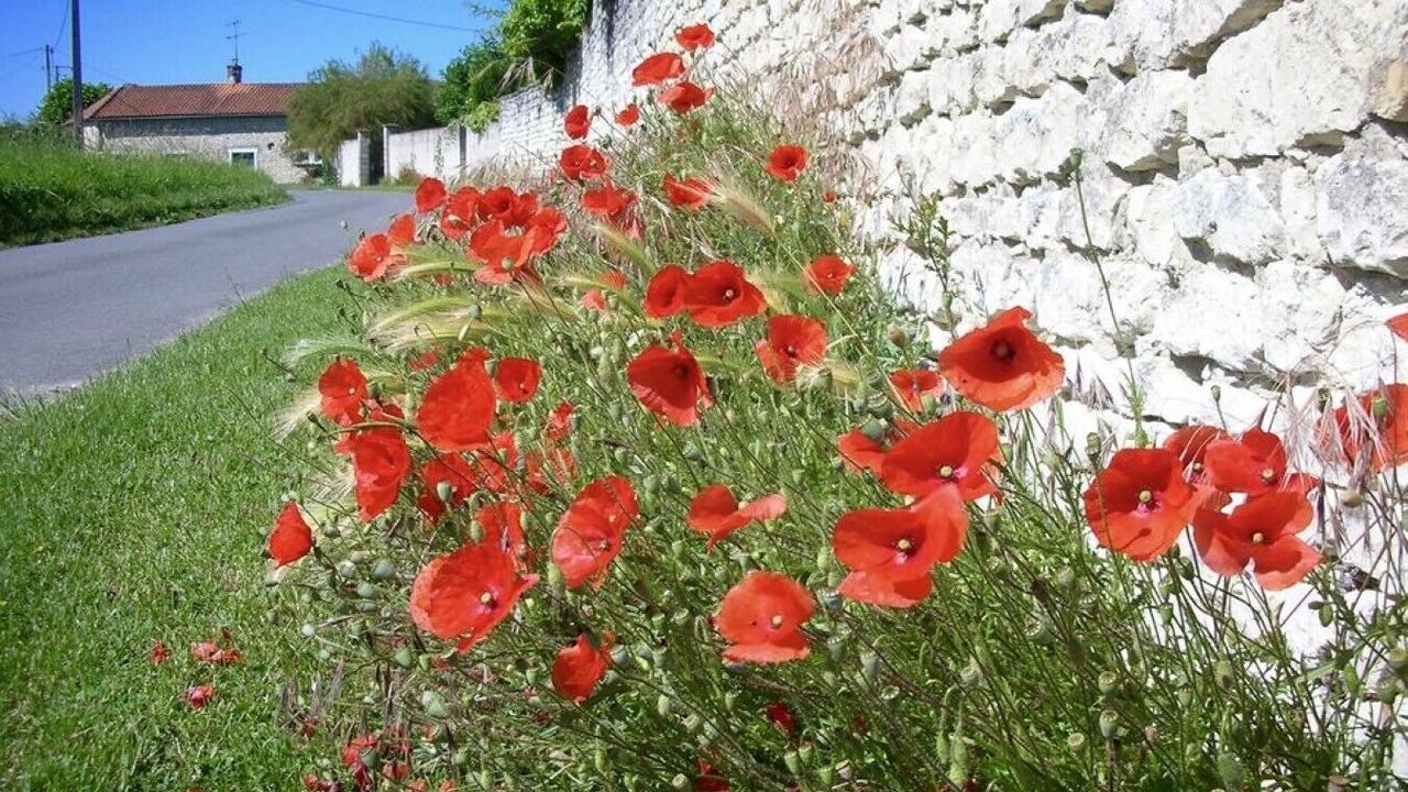 Photo of Outdoor in Serigny