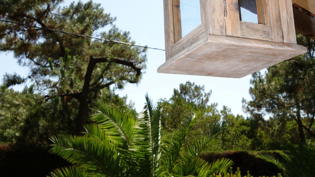 Photo of Outdoor in Cap-Ferret