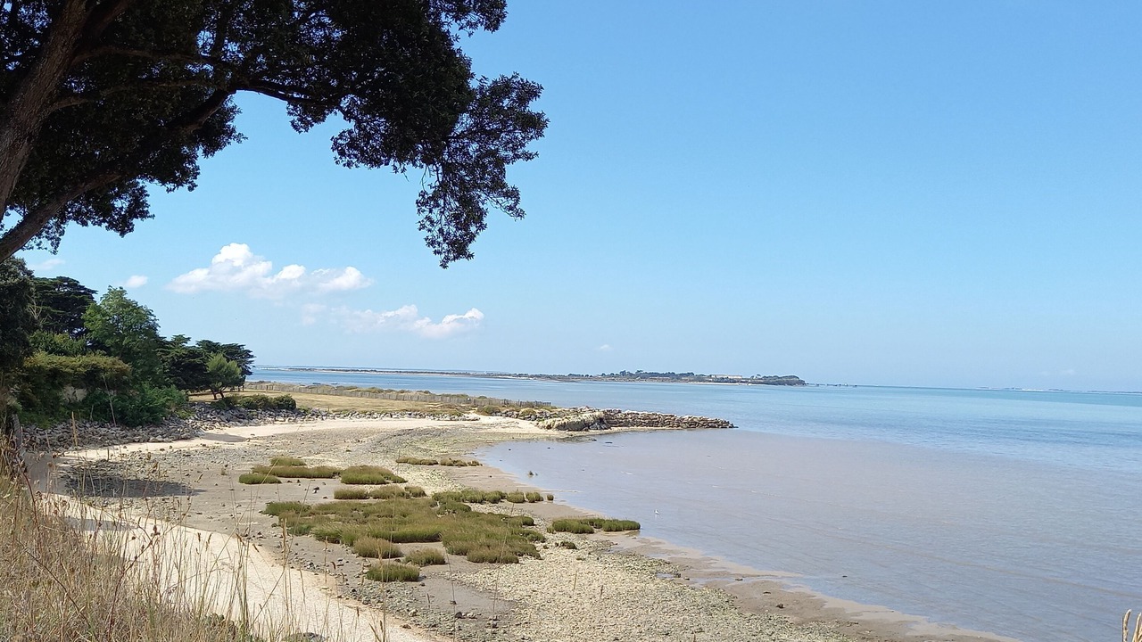 Photo of Others in Port-des-Barques