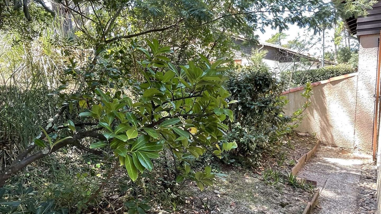 Photo of Outdoor in Le Penon