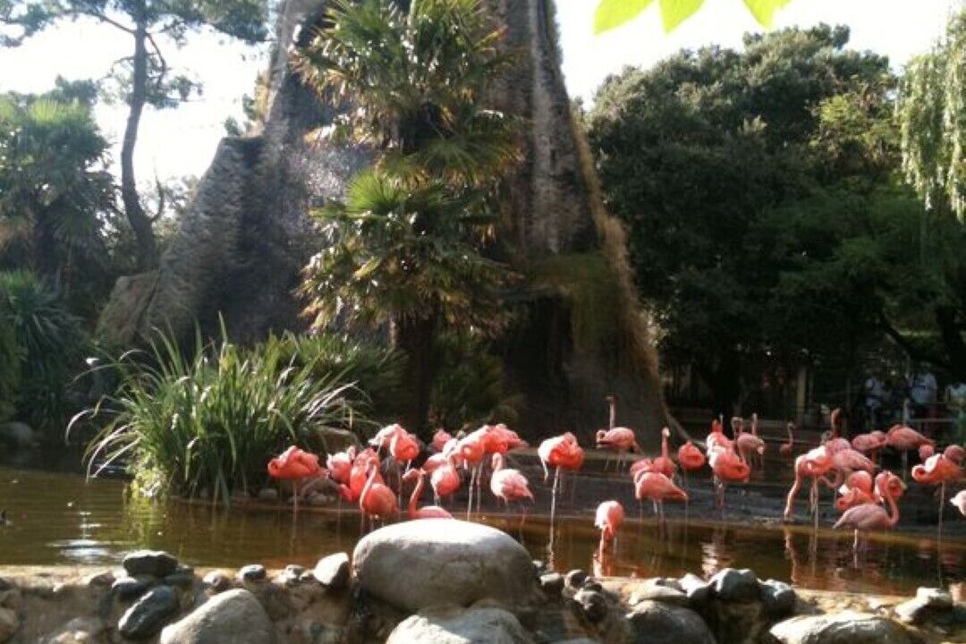 Photo of Outdoor in Etaules