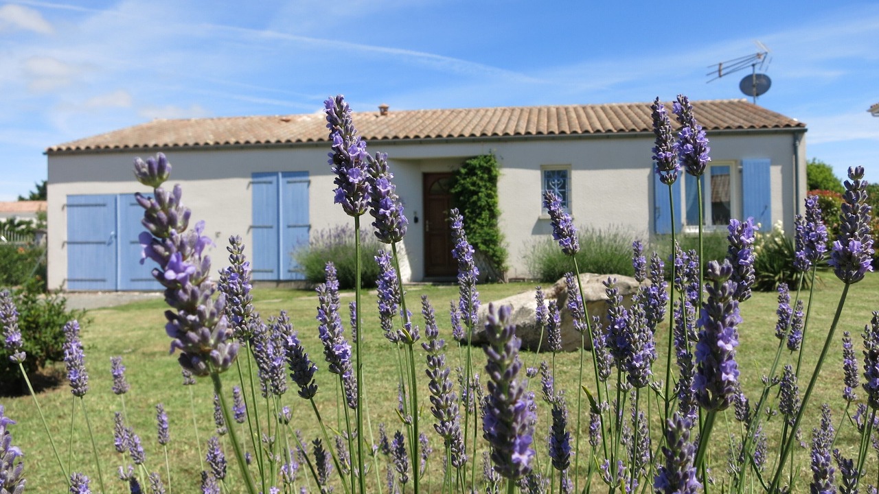 Photo of Outdoor in Etaules
