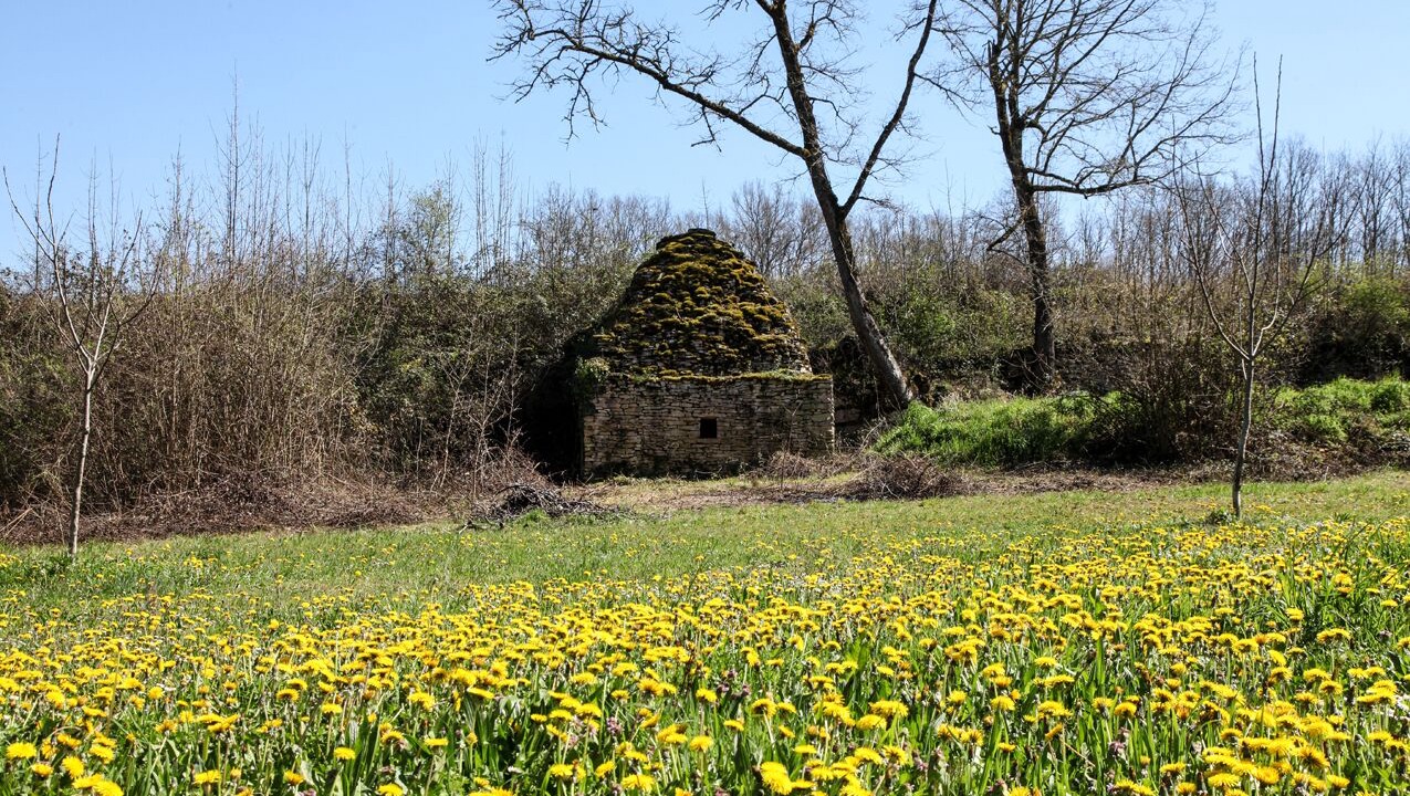 Photo of Outdoor in Cenac-et-Saint-Julien