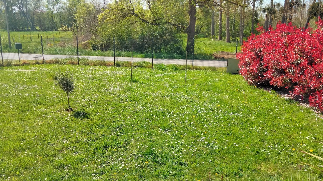 Photo of Outdoor in Saint-Germain-de-Lusignan