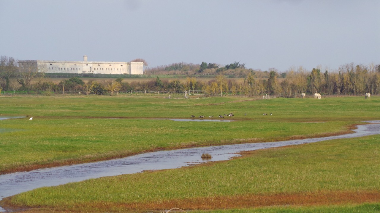 Photo of Others in Port-des-Barques