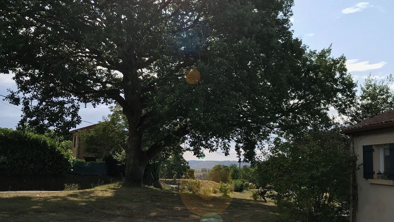 Photo of Outdoor in Saint-Germain-de-Belves