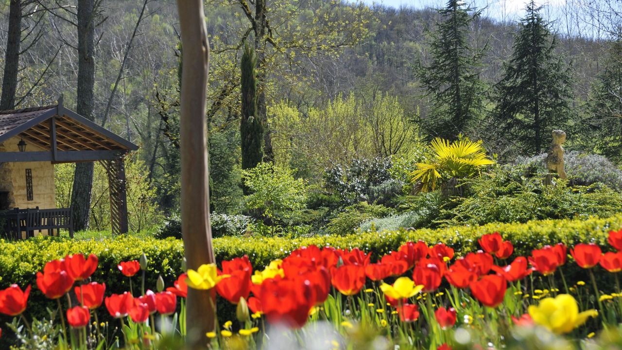 Photo of Outdoor in Saint-Front-sur-Lemance