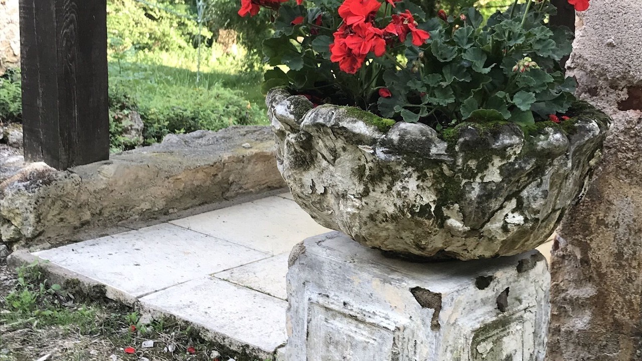 Photo of Outdoor in Saint-Front-sur-Lemance
