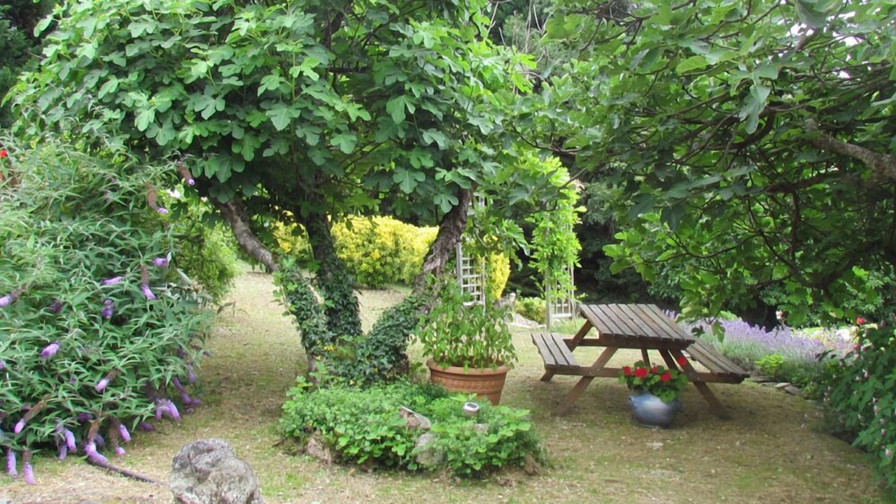 Photo of Outdoor in Saint-Andre-dAllas