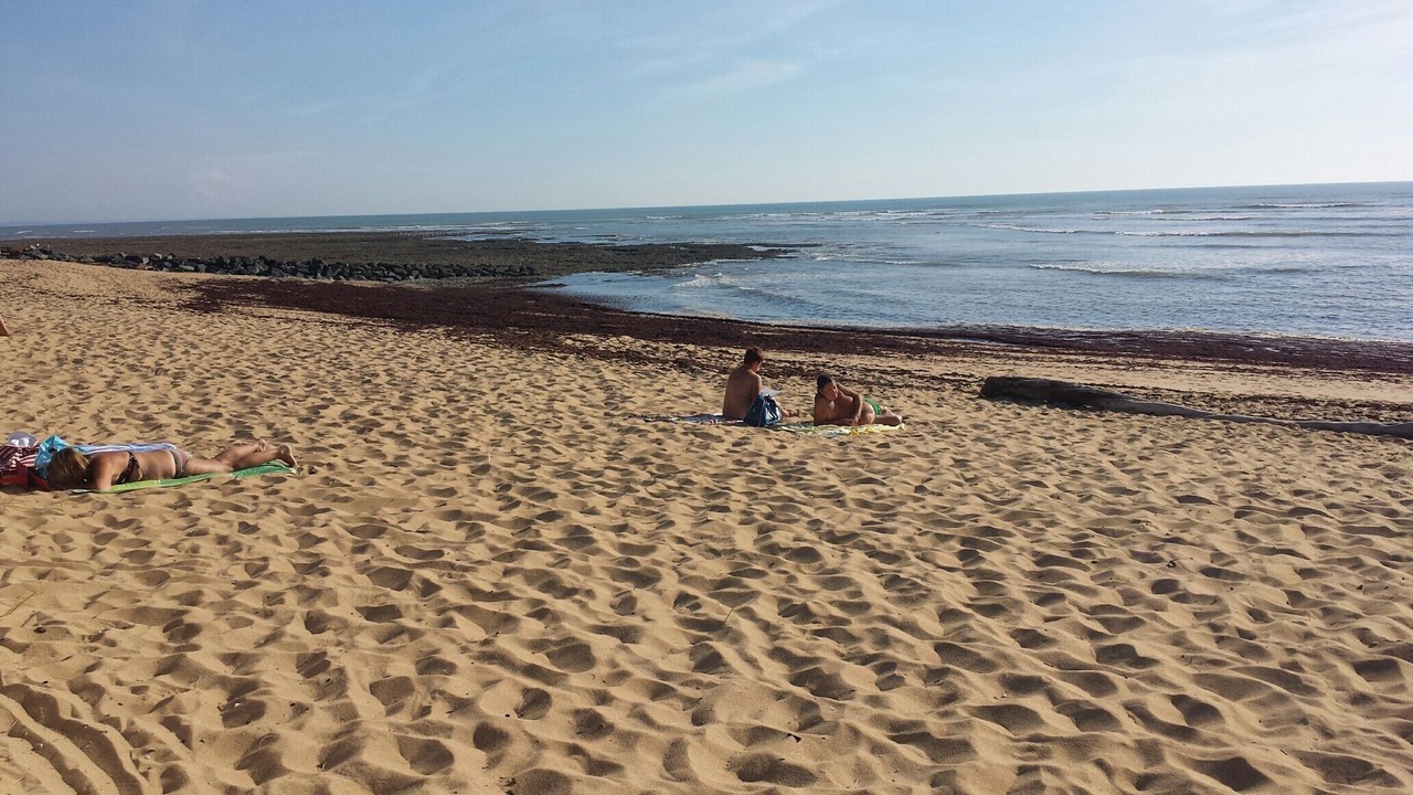 Photo of Others in Dolus-d'Oleron
