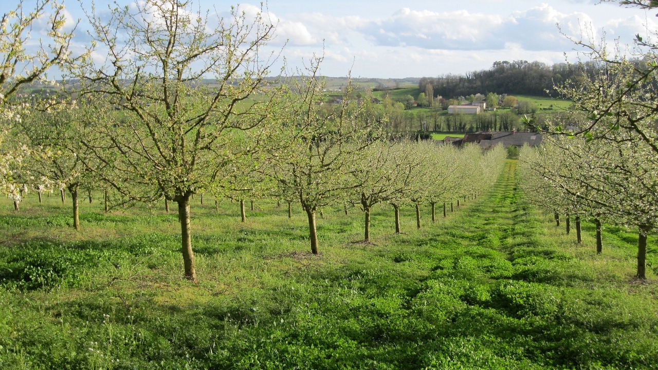 Photo of Others in Sainte-Colombe-de-Duras