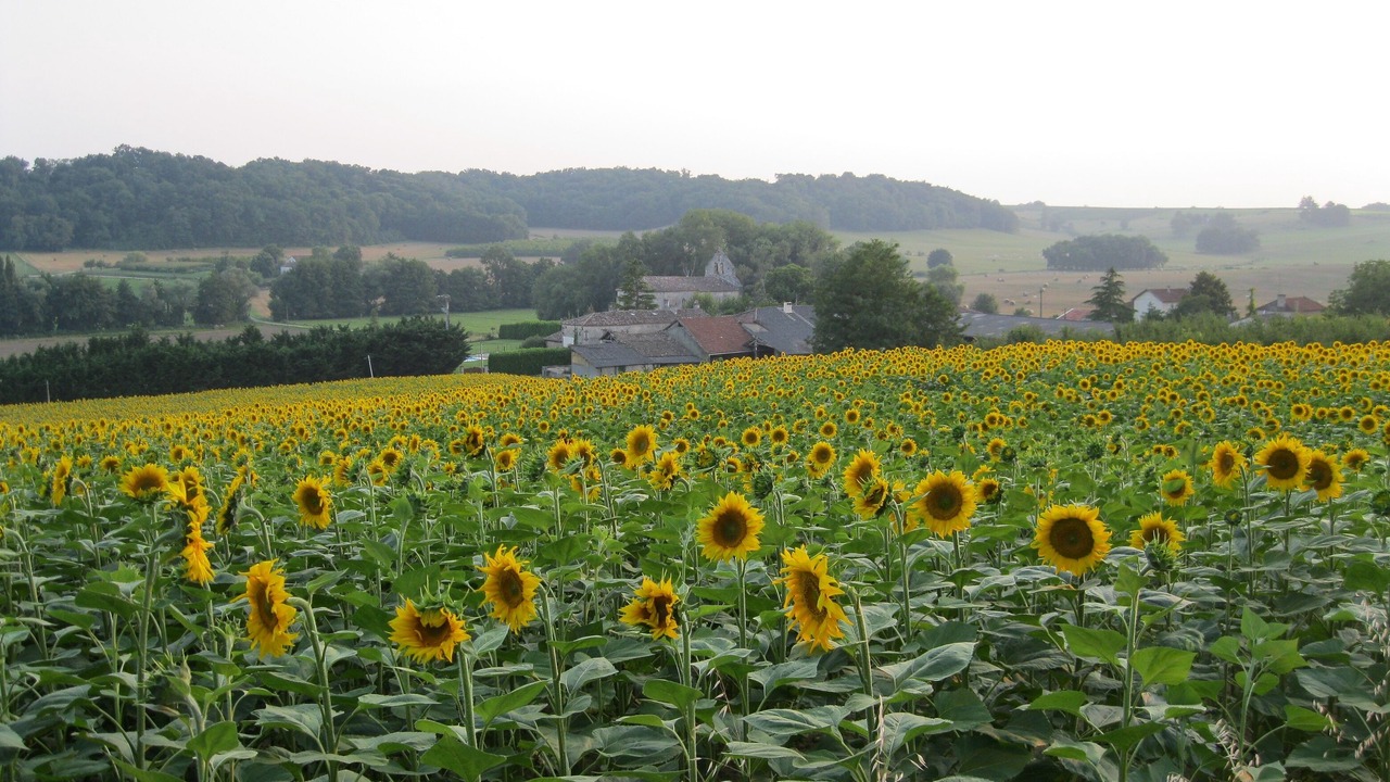 Photo of Others in Sainte-Colombe-de-Duras
