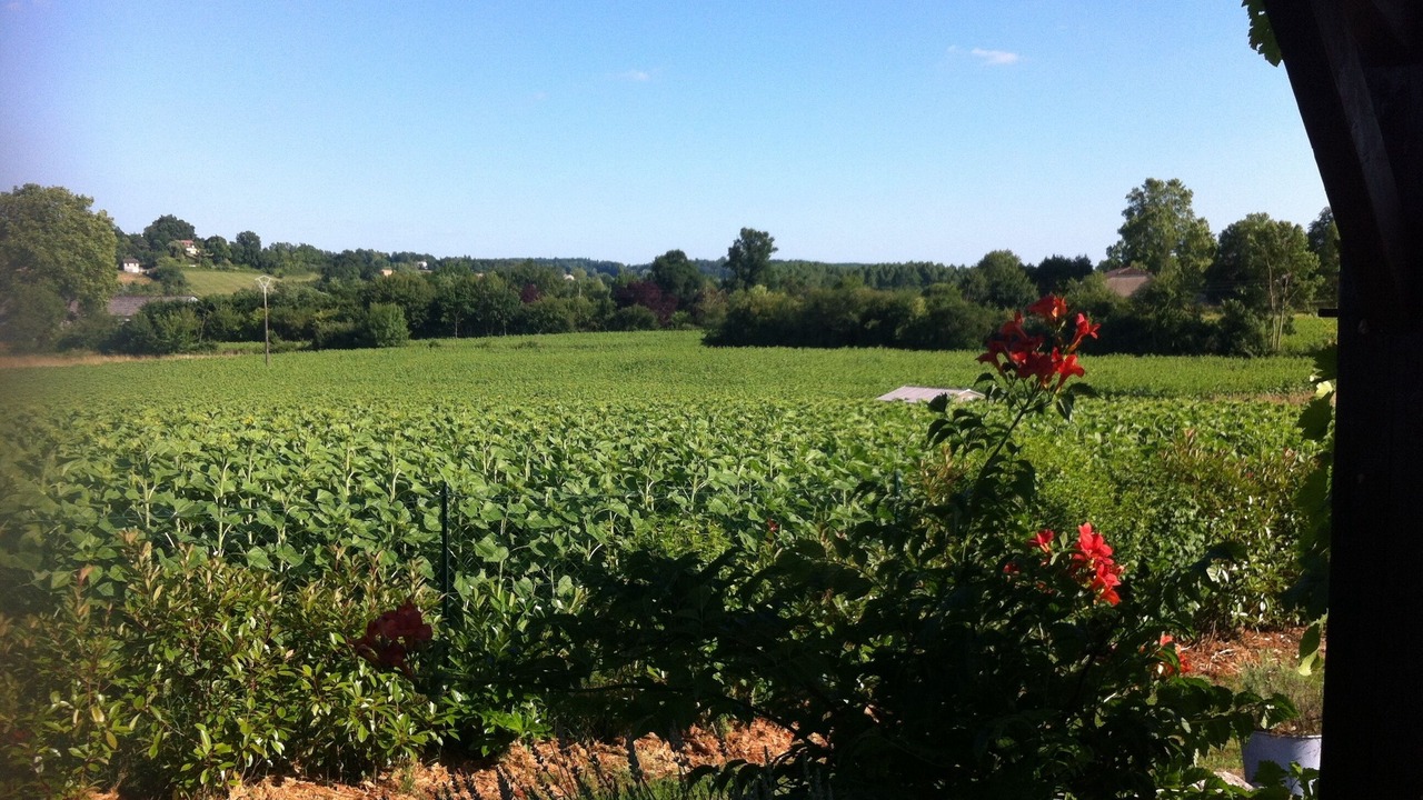 Photo of Outdoor in Cahuzac