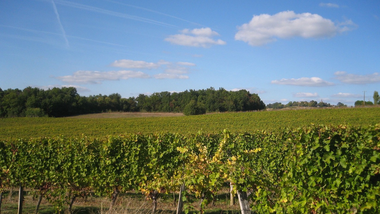 Photo of Others in Saint-Jean-de-Duras