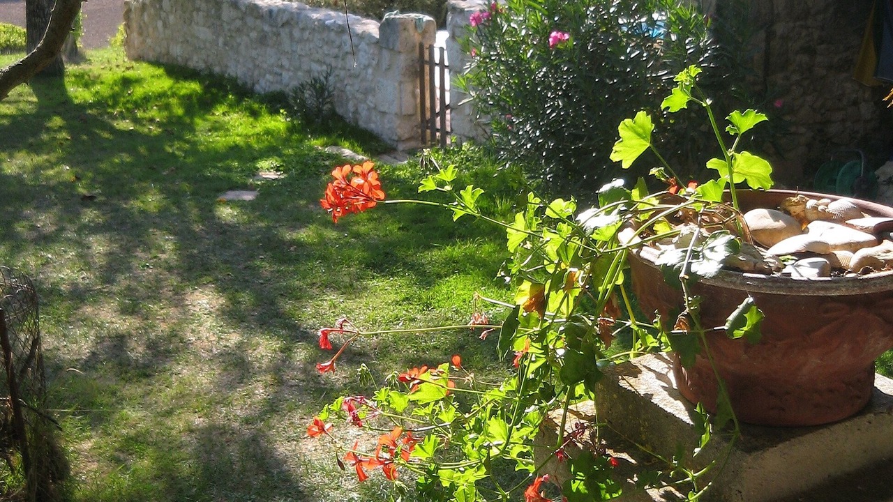Photo of Outdoor in Saint-Jean-de-Duras