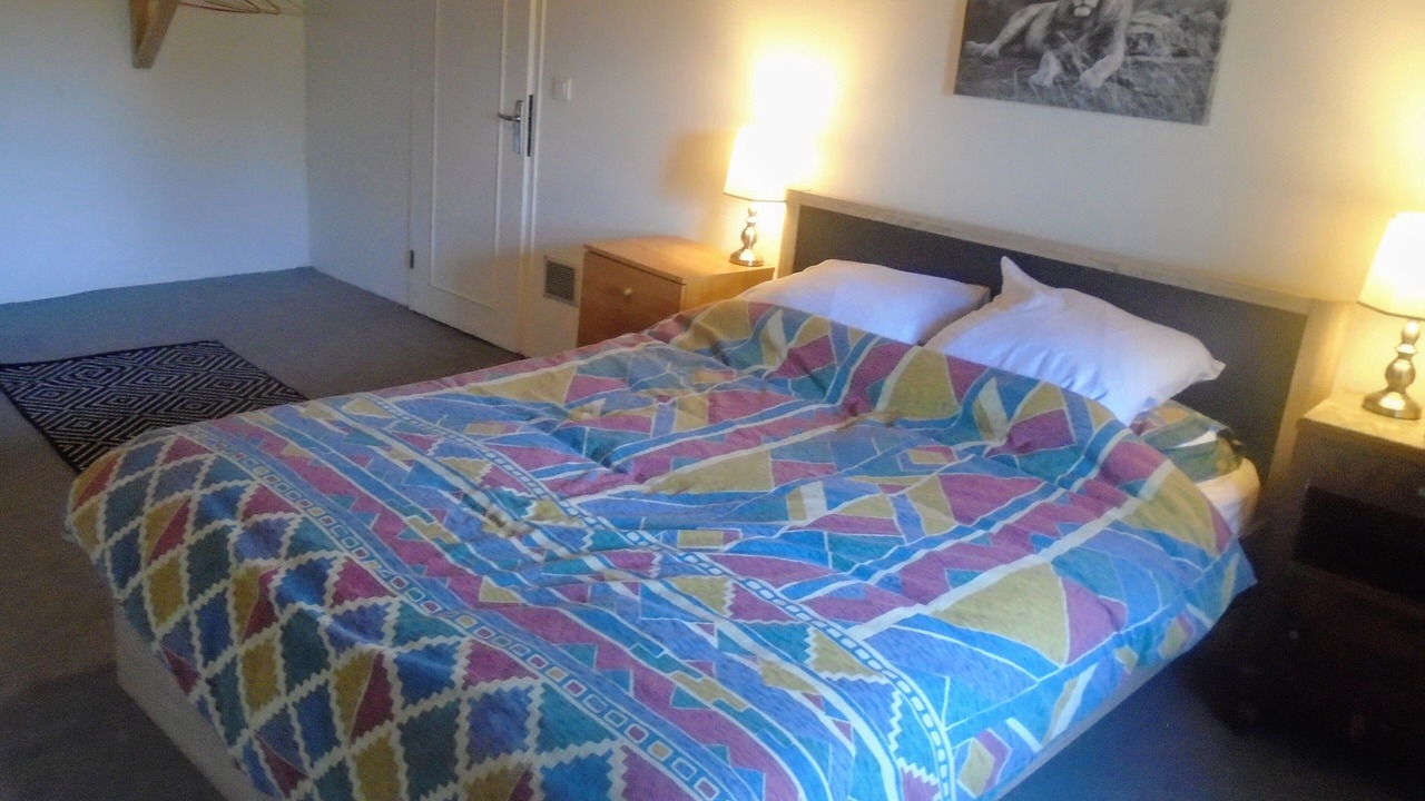 Photo of Bedroom in Charroux