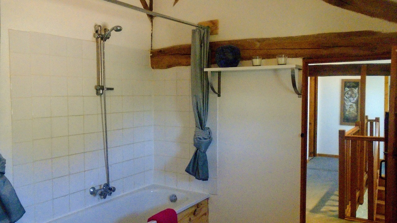 Photo of Bathroom in Charroux