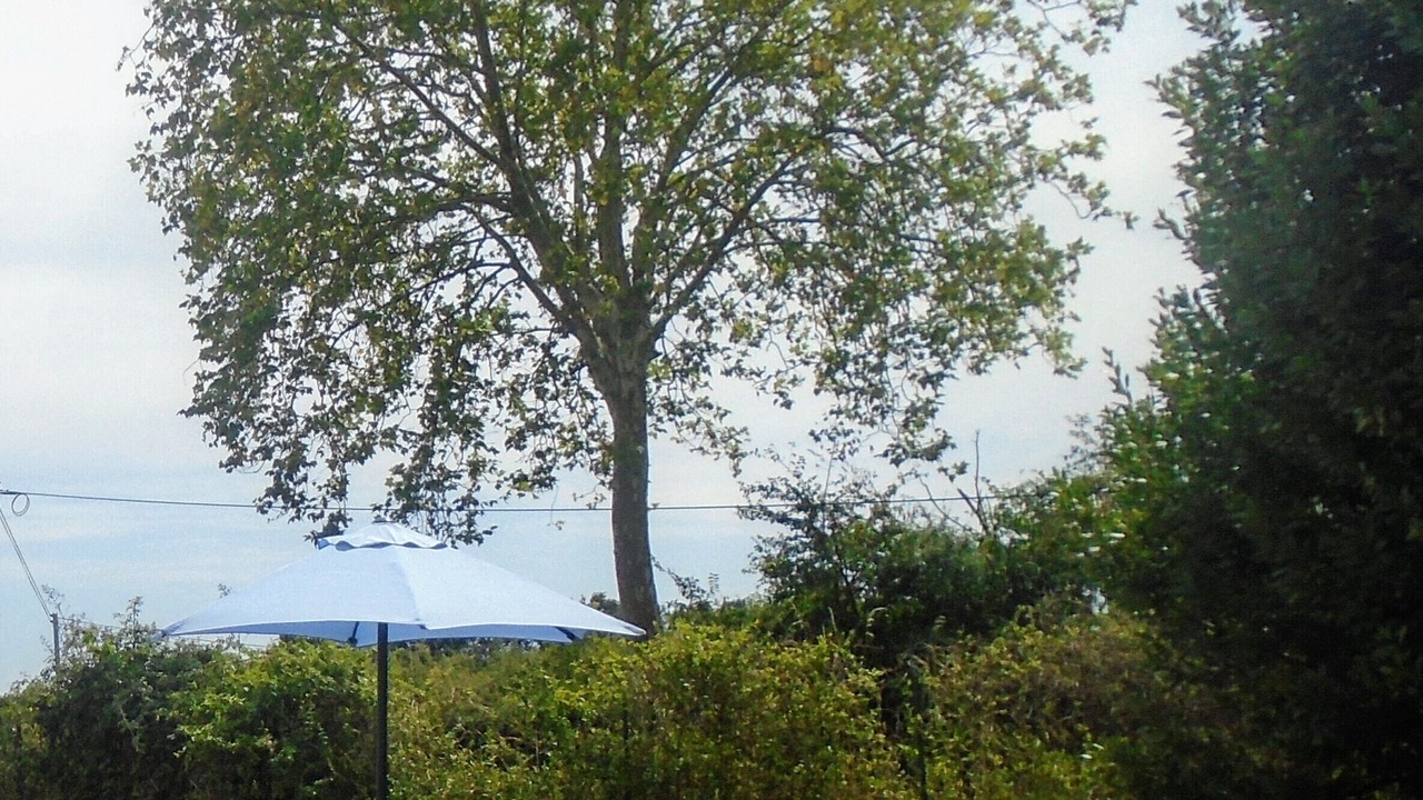 Photo of Outdoor in Charroux