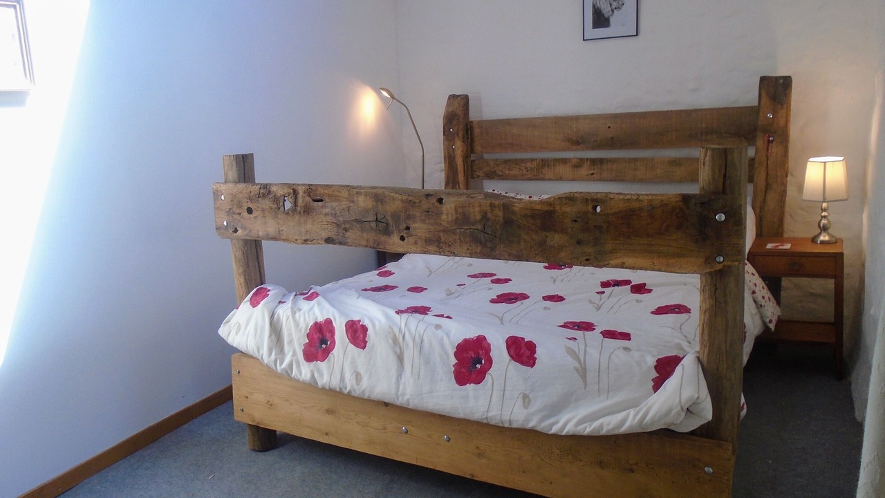Photo of Bedroom in Charroux