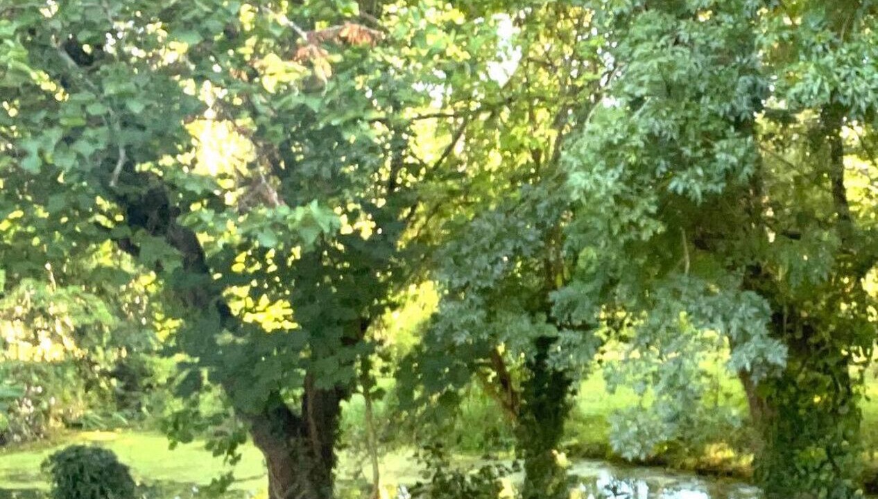 Photo of Outdoor in Chenac-Saint-Seurin-d'Uzet