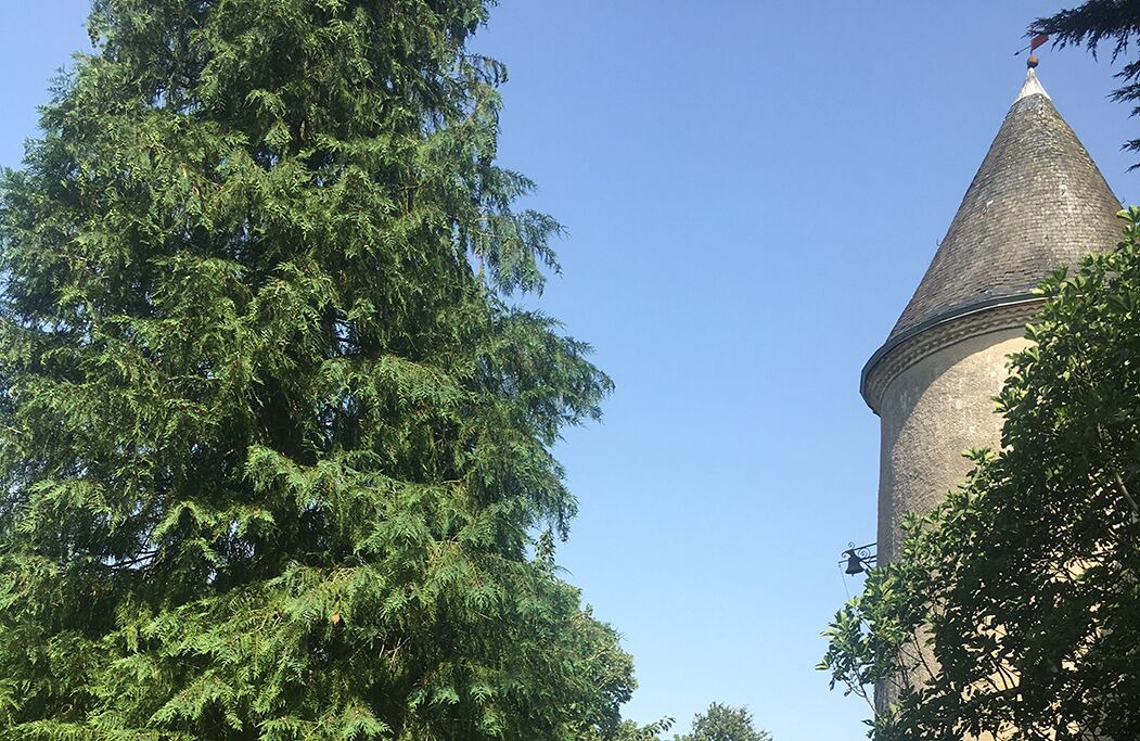 Photo of Outdoor in Abjat-sur-Bandiat