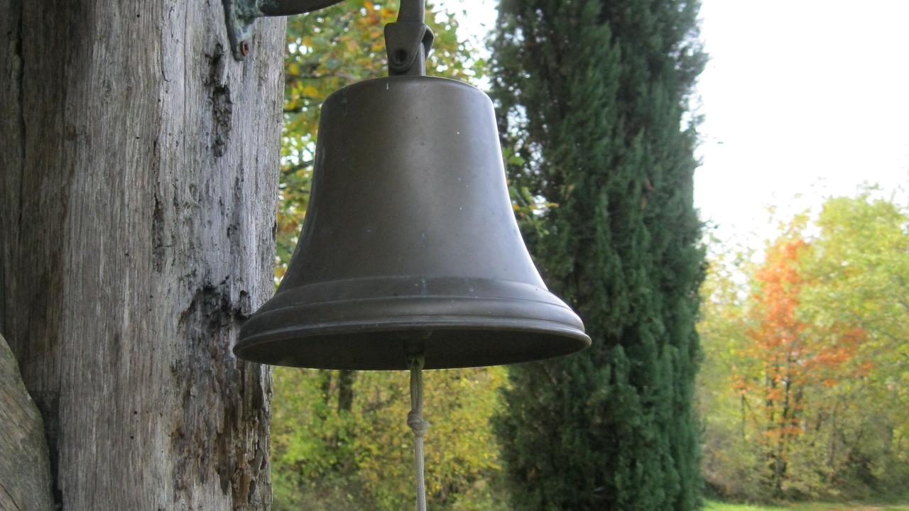 Photo of Outdoor in Thezac