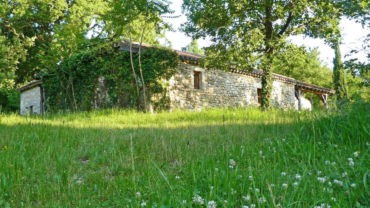 Photo of Outdoor in Thezac