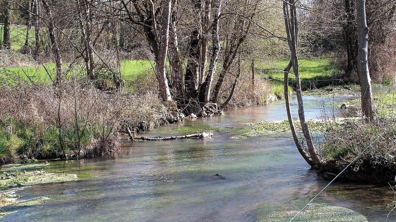 Photo of Outdoor in Nieuil