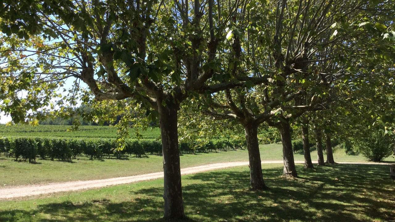 Photo of Outdoor in Sigoules