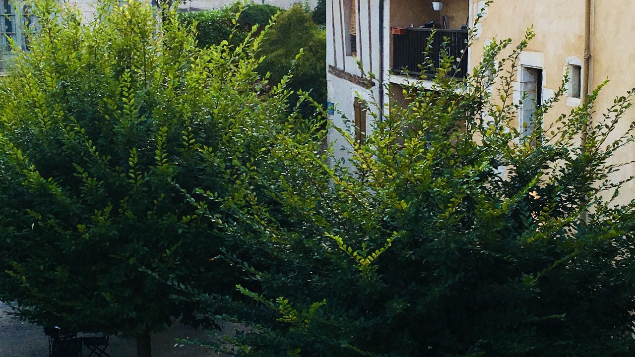 Photo of Outdoor in Perigueux
