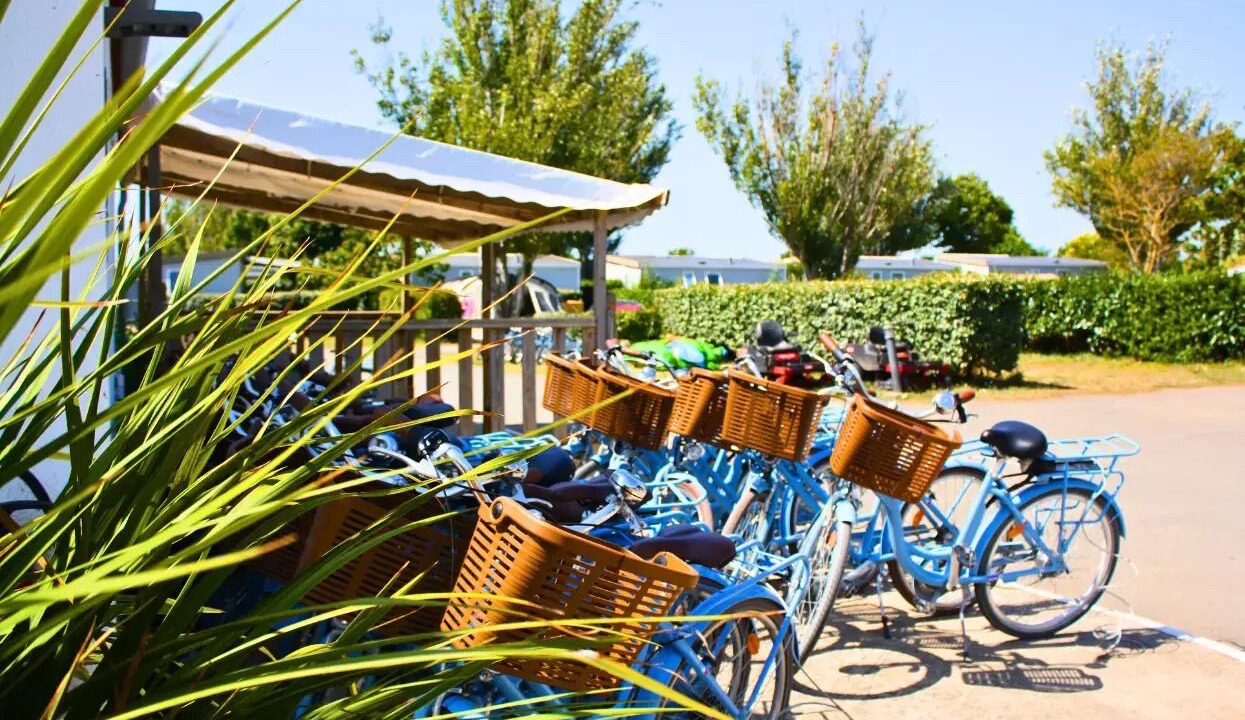 Photo of Outdoor in Loix