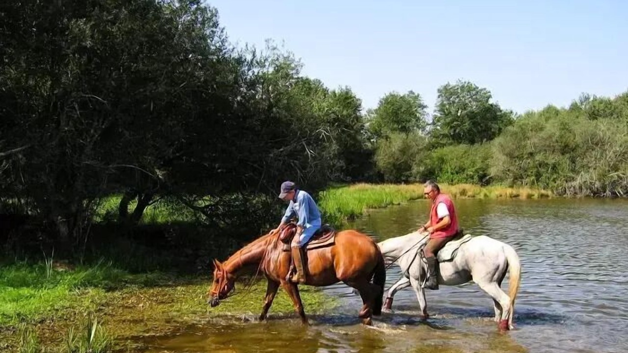 Photo of Others in Dienne