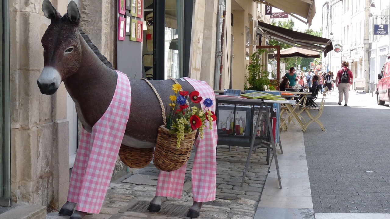 Photo of Outdoor in La Rochelle City Centre