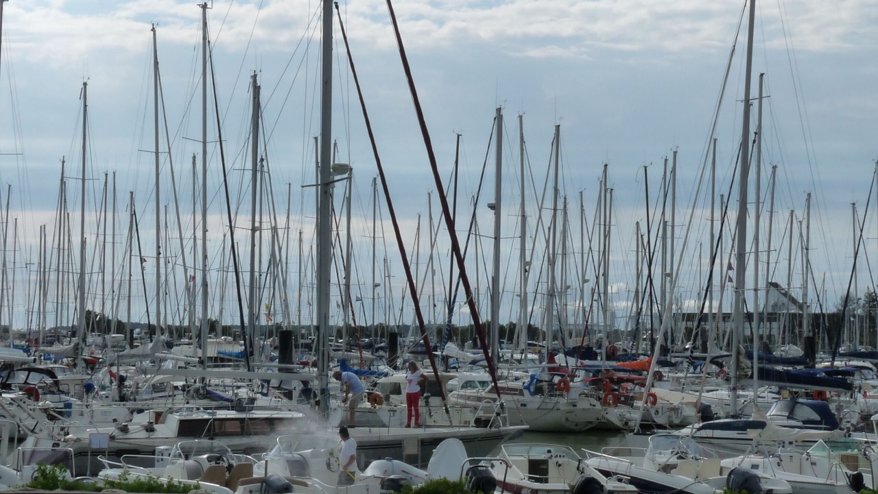Photo of Others in La Rochelle City Centre