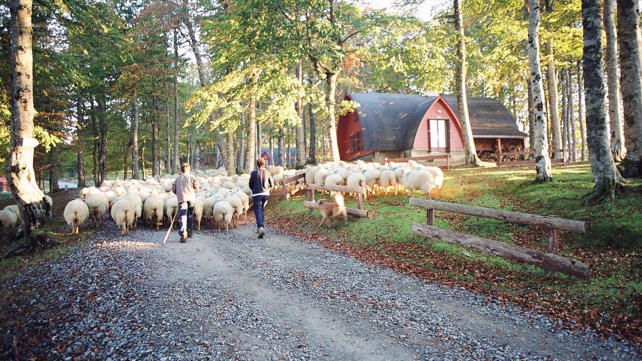Photo of Others in Ordiarp