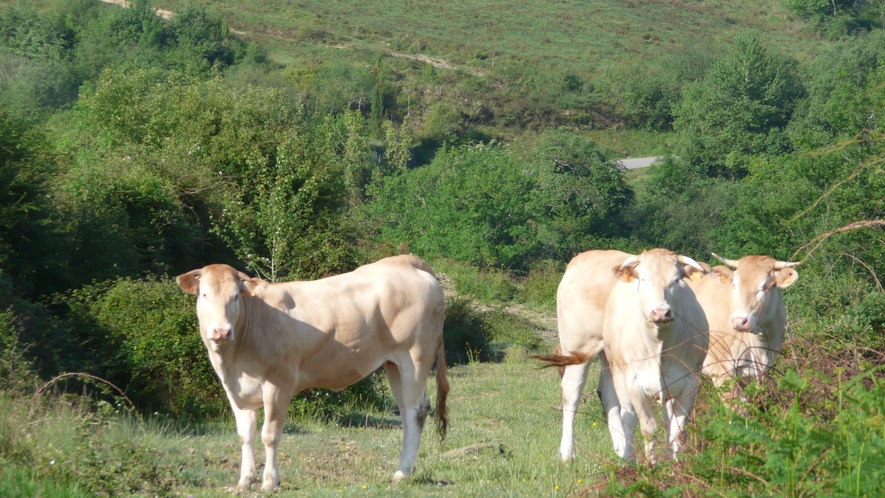 Photo of Outdoor in Ordiarp