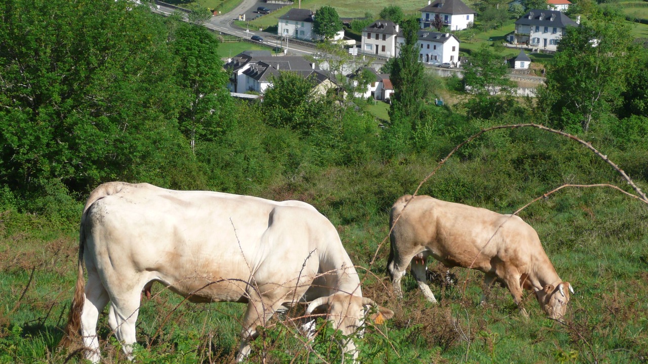 Photo of Outdoor in Ordiarp