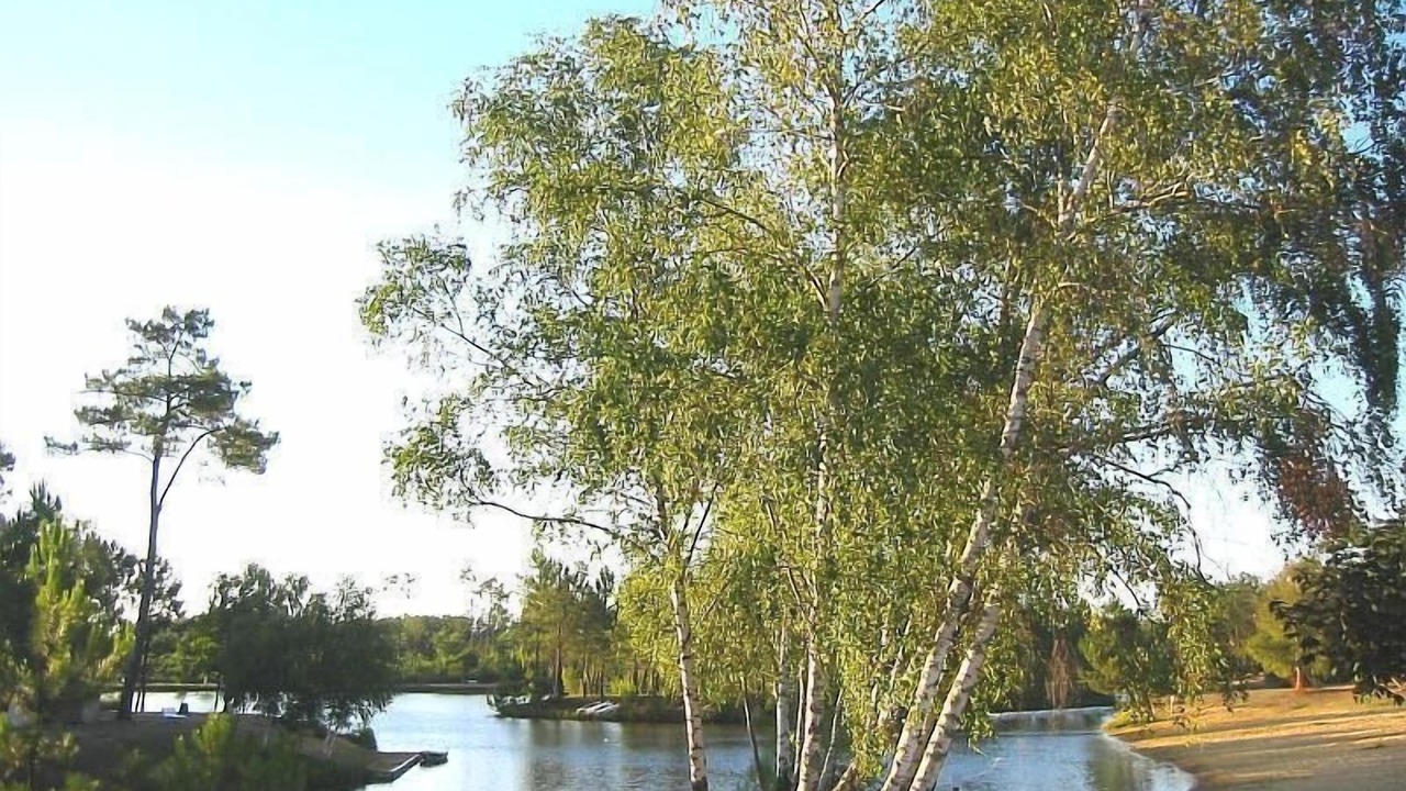Photo of Outdoor in Montendre
