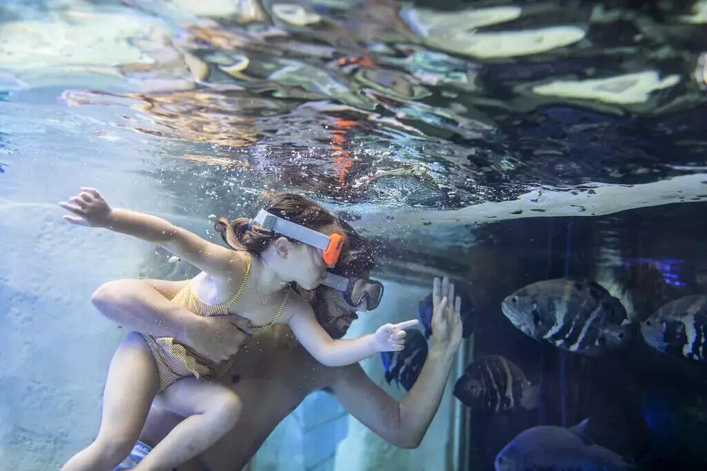 Photo of Others in Curcay-sur-Dive