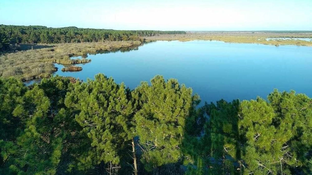 Photo of Others in Lacanau-Ocean