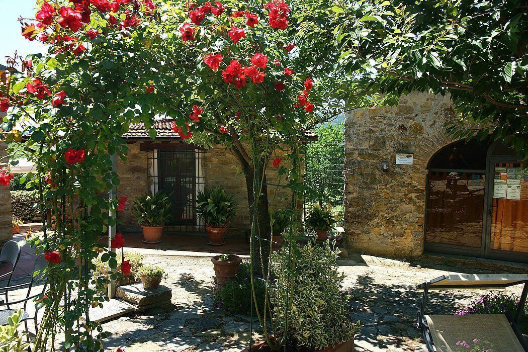 Photo of Outdoor in Pontassieve